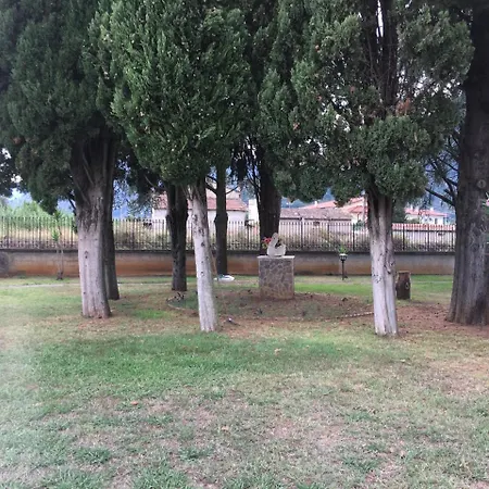 Oasis