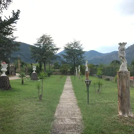 Oasis