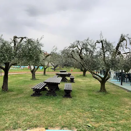 Oasis فندق مبيت وإفطار