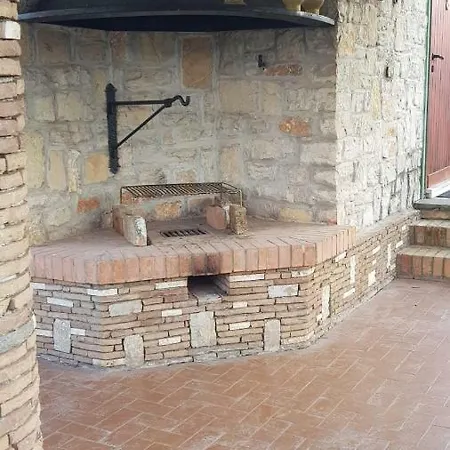 Oasis