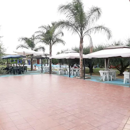 Oasis